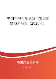 中國車撣市場調(diào)研與發(fā)展前景預(yù)測報(bào)告（2026年）
