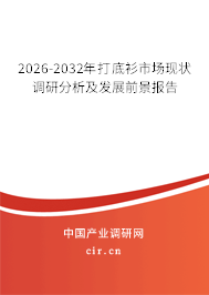 2026-2032年打底衫市場現(xiàn)狀調(diào)研分析及發(fā)展前景報告