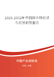 2026-2032年中國(guó)磷市場(chǎng)現(xiàn)狀與前景趨勢(shì)報(bào)告