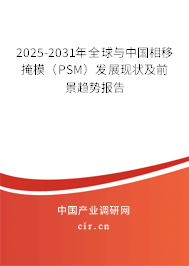 2025-2031年全球與中國相移掩模（PSM）發(fā)展現(xiàn)狀及前景趨勢報告