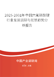 2025-2031年中國(guó)六氟磷酸鋰行業(yè)發(fā)展調(diào)研與前景趨勢(shì)分析報(bào)告
