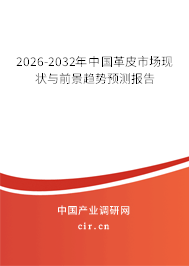 2026-2032年中國革皮市場現(xiàn)狀與前景趨勢預(yù)測報告
