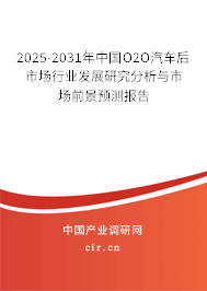 2025-2031年中國O2O汽車后市場行業(yè)發(fā)展研究分析與市場前景預(yù)測報(bào)告