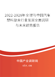 2022-2028年全球與中國汽車塑料復合行業(yè)發(fā)展全面調(diào)研與未來趨勢報告 2022-2028年全球與中國汽車塑料復合行業(yè)發(fā)展全面調(diào)研與未來趨勢報告