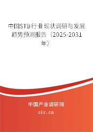 中國STB行業(yè)現(xiàn)狀調(diào)研與發(fā)展趨勢預測報告（2025-2031年）