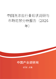 中國洗滌鹽行業(yè)現(xiàn)狀調(diào)研與市場前景分析報告（2026年）