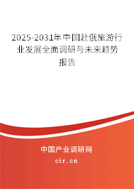2025-2031年中國赴俄旅游行業(yè)發(fā)展全面調(diào)研與未來趨勢報告