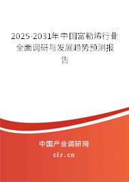 2025-2031年中國富勒烯行業(yè)全面調研與發(fā)展趨勢預測報告