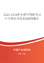2025-2031年全球與中國PCIe IP市場現(xiàn)狀及發(fā)展趨勢報(bào)告