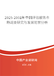 2025-2031年中國評估服務(wù)市場調(diào)查研究與發(fā)展前景分析