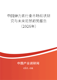 中國彈力素行業(yè)市場現(xiàn)狀研究與未來前景趨勢報告（2026年）