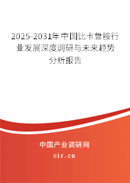 2025-2031年中國比卡魯胺行業(yè)發(fā)展深度調研與未來趨勢分析報告