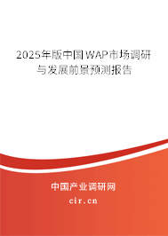 2025年版中國WAP市場調(diào)研與發(fā)展前景預(yù)測報告