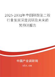 2025-2031年中國磷酸氫二銨行業(yè)發(fā)展深度調研及未來趨勢預測報告