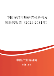 中國(guó)提燈市場(chǎng)研究分析與發(fā)展趨勢(shì)報(bào)告（2025-2031年）