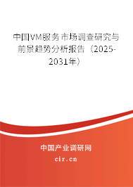 中國VM服務(wù)市場調(diào)查研究與前景趨勢分析報告（2025-2031年）