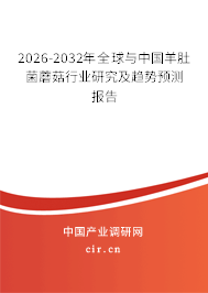 2026-2032年全球與中國羊肚菌蘑菇行業(yè)研究及趨勢預測報告