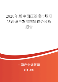 2026年版中國(guó)壓塑模市場(chǎng)現(xiàn)狀調(diào)研與發(fā)展前景趨勢(shì)分析報(bào)告