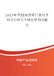 2025年中國合成革行業(yè)現(xiàn)狀研究分析與市場前景預(yù)測報告