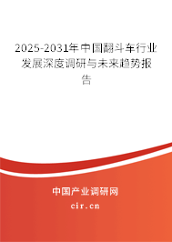 2025-2031年中國(guó)翻斗車行業(yè)發(fā)展深度調(diào)研與未來(lái)趨勢(shì)報(bào)告