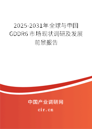 2025-2031年全球與中國GDDR6市場現(xiàn)狀調(diào)研及發(fā)展前景報告
