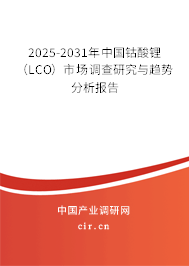 2025-2031年中國鈷酸鋰（LCO）市場調(diào)查研究與趨勢分析報告